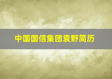 中国国信集团袁野简历