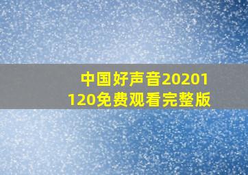 中国好声音20201120免费观看完整版