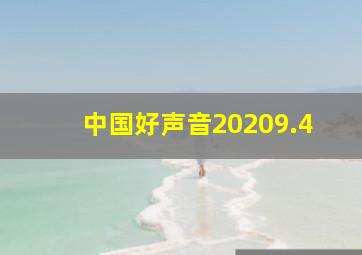 中国好声音20209.4