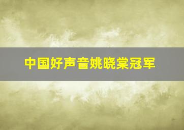 中国好声音姚晓棠冠军