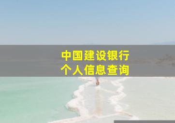 中国建设银行个人信息查询