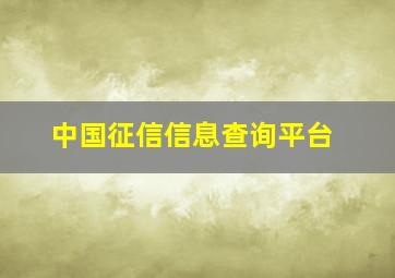 中国征信信息查询平台