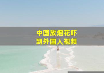 中国放烟花吓到外国人视频