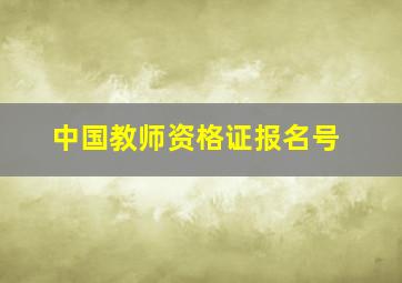 中国教师资格证报名号