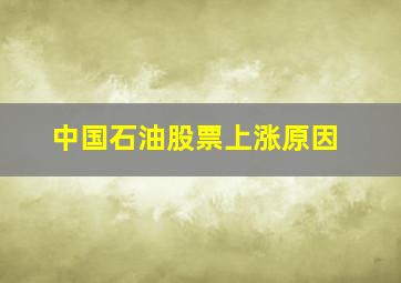 中国石油股票上涨原因