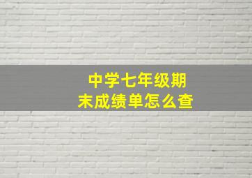 中学七年级期末成绩单怎么查