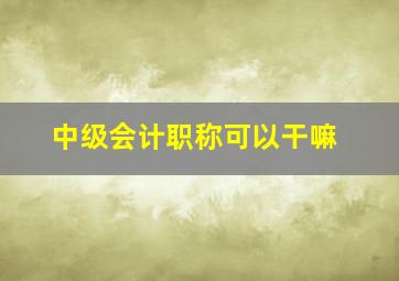 中级会计职称可以干嘛