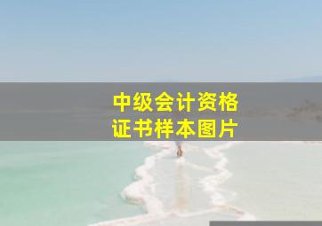 中级会计资格证书样本图片