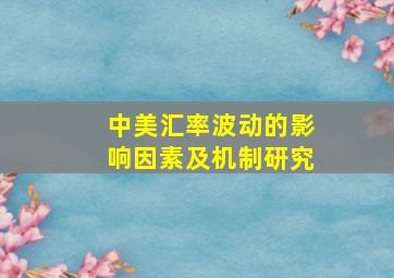 中美汇率波动的影响因素及机制研究