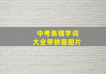 中考易错字词大全带拼音图片