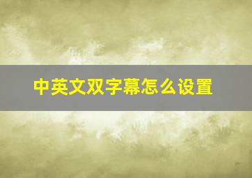 中英文双字幕怎么设置