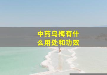 中药乌梅有什么用处和功效