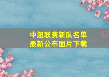 中超联赛新队名单最新公布图片下载