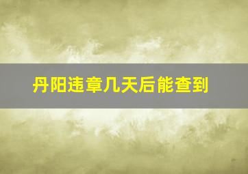 丹阳违章几天后能查到