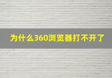 为什么360浏览器打不开了