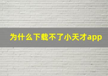 为什么下载不了小天才app