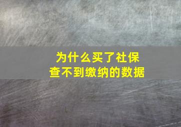 为什么买了社保查不到缴纳的数据