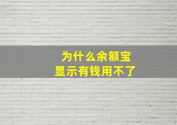 为什么余额宝显示有钱用不了