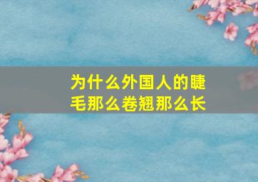 为什么外国人的睫毛那么卷翘那么长