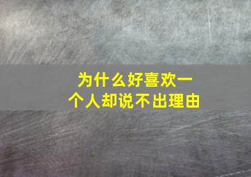 为什么好喜欢一个人却说不出理由