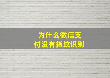 为什么微信支付没有指纹识别