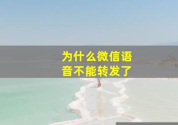 为什么微信语音不能转发了