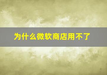 为什么微软商店用不了