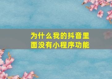 为什么我的抖音里面没有小程序功能