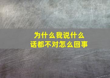 为什么我说什么话都不对怎么回事