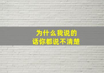 为什么我说的话你都说不清楚