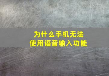 为什么手机无法使用语音输入功能