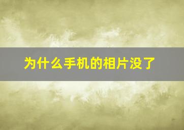 为什么手机的相片没了