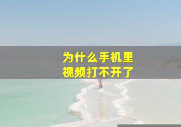 为什么手机里视频打不开了