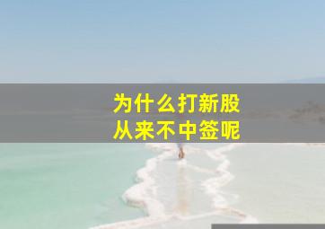 为什么打新股从来不中签呢