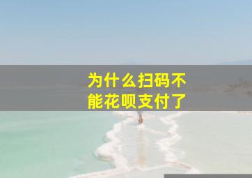 为什么扫码不能花呗支付了