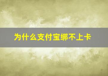 为什么支付宝绑不上卡