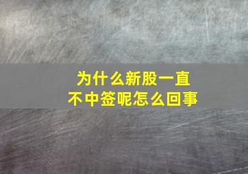 为什么新股一直不中签呢怎么回事