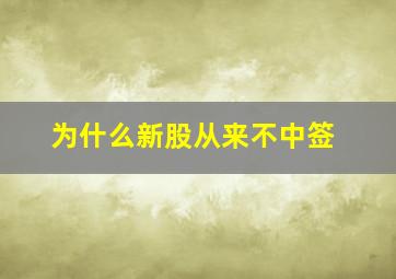 为什么新股从来不中签