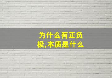 为什么有正负极,本质是什么