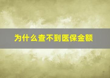 为什么查不到医保金额