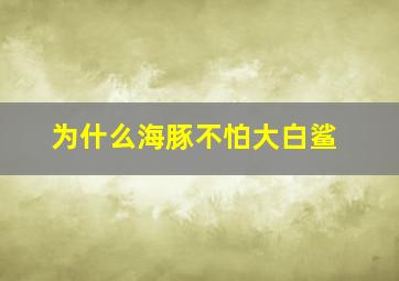 为什么海豚不怕大白鲨