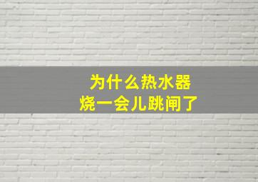 为什么热水器烧一会儿跳闸了