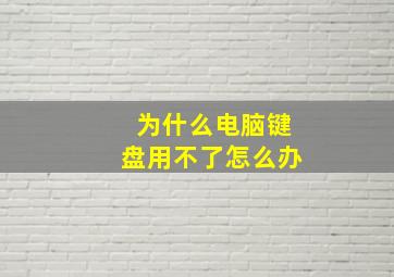 为什么电脑键盘用不了怎么办