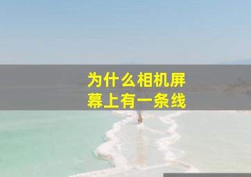 为什么相机屏幕上有一条线