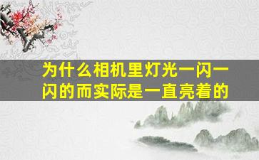 为什么相机里灯光一闪一闪的而实际是一直亮着的