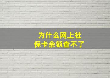 为什么网上社保卡余额查不了