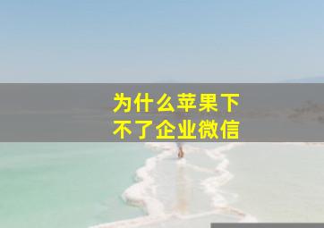 为什么苹果下不了企业微信