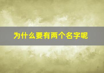 为什么要有两个名字呢