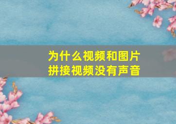 为什么视频和图片拼接视频没有声音