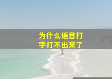 为什么语音打字打不出来了